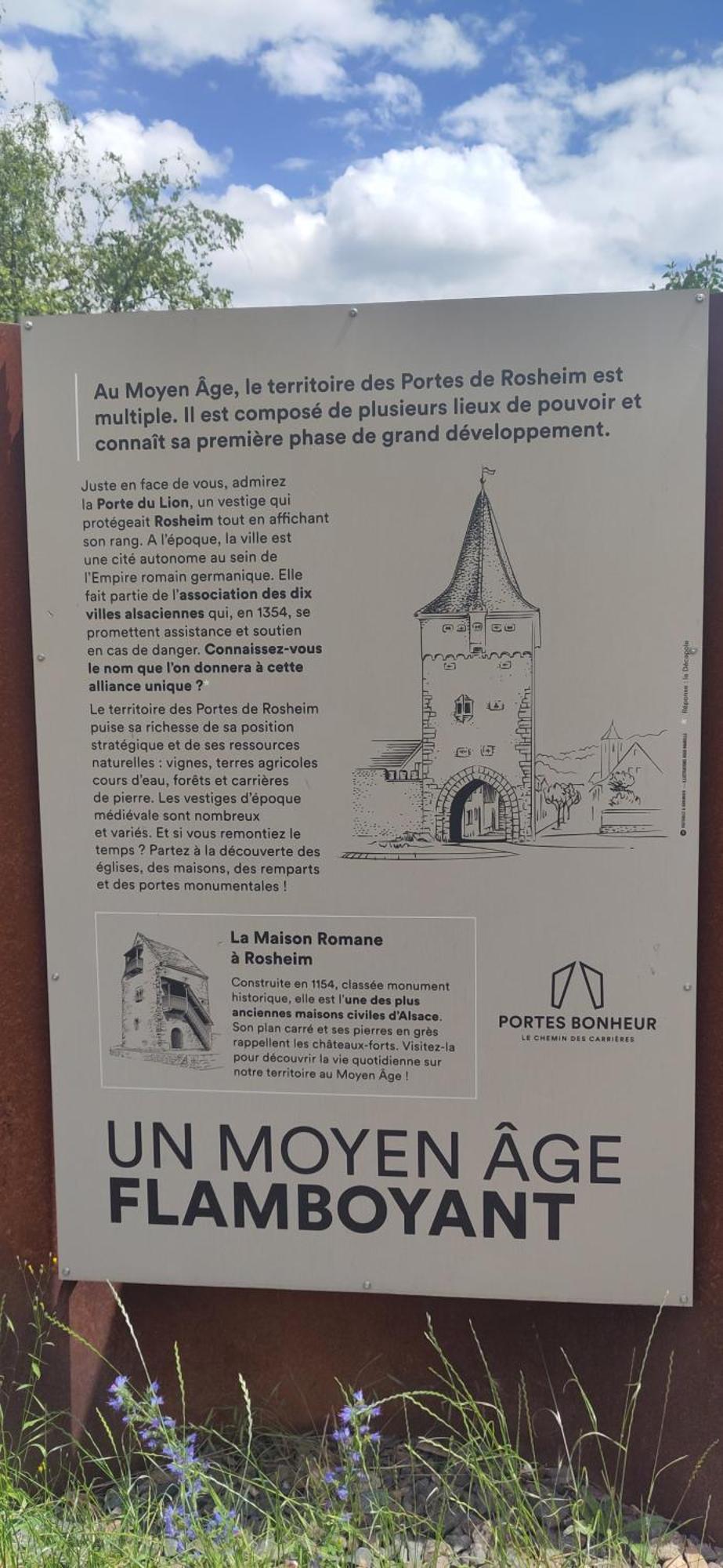 La Maisonnette Bleue, Eco-Logis Equipe De Toilettes Seches Rosheim Exteriér fotografie